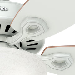 Fan Company 53089 Builder Deluxe Indoor Ceiling Fan with LED Light and